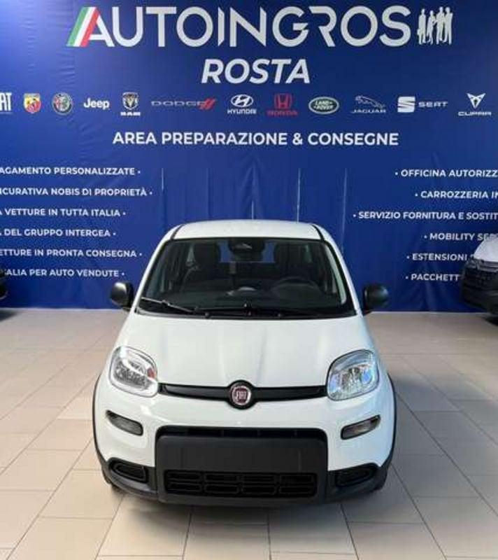 FIAT Panda 1.0 hybrid 70CV MY25 NUOVA DA IMMATRICOLARE