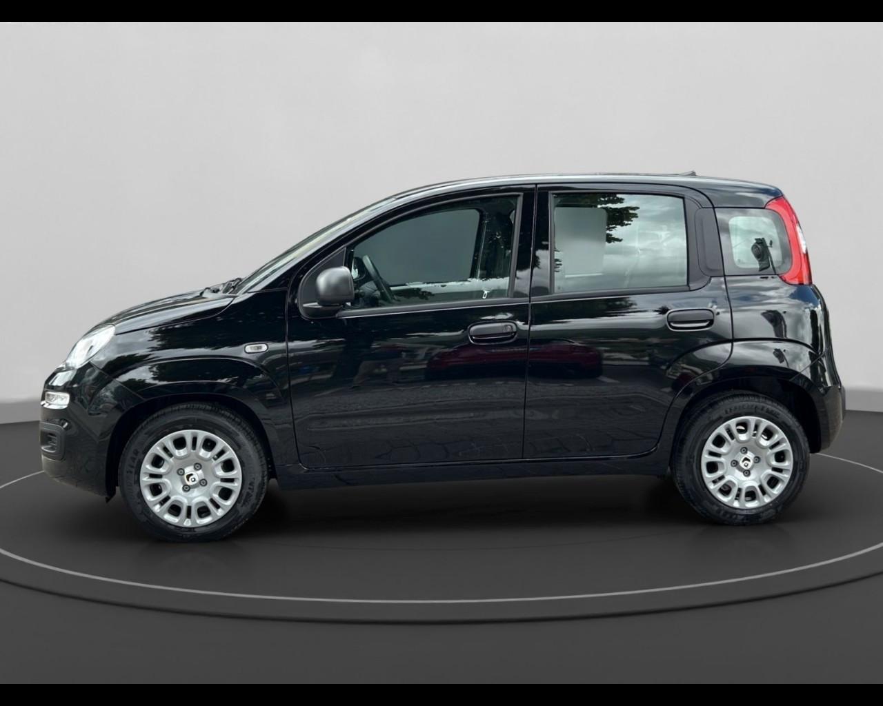 FIAT Panda My25 1.0 70cv Hybrid Panda