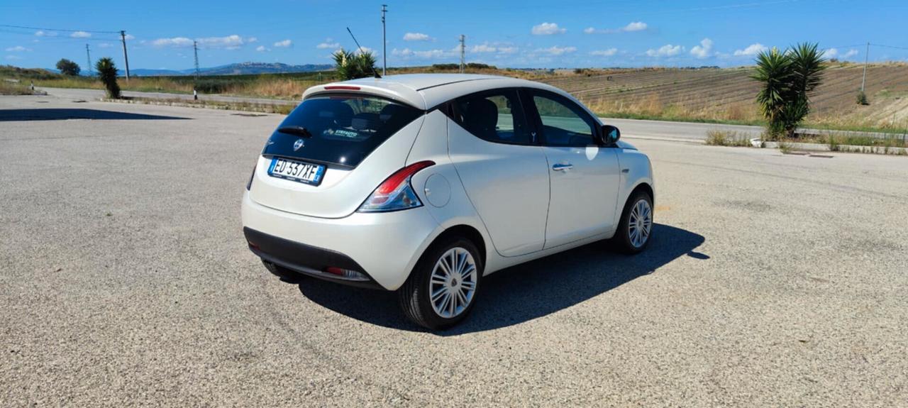 Lancia Ypsilon 1.3 MJT 16V 95 CV 5 porte S&S Platinum