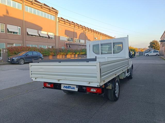 FORD Transit 350 2.0 EcoBl.130CV PM Cassonato Trend