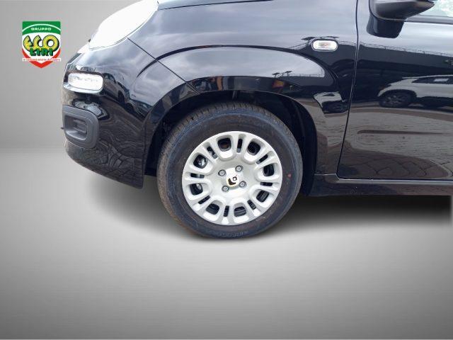 FIAT Panda 1.0 FireFly S&S Hybrid+GPL