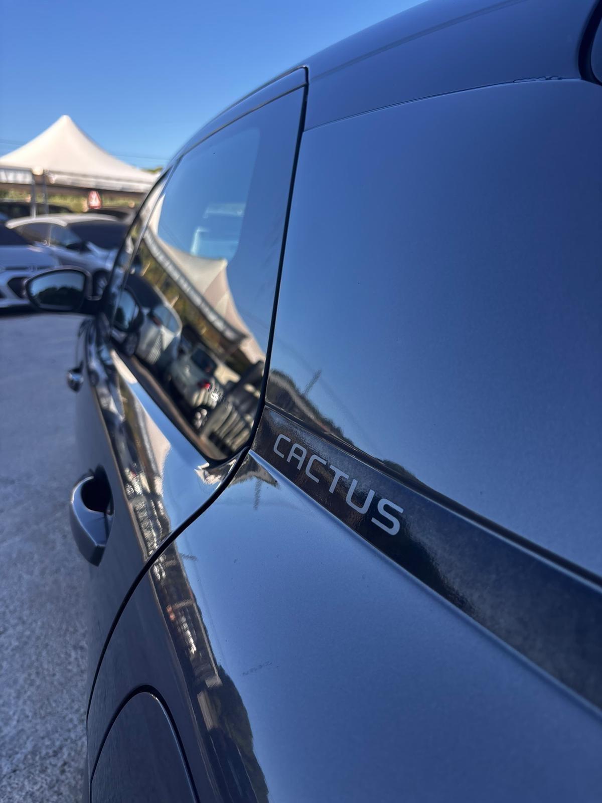 Citroen C4 Cactus BlueHDi 100 S&S ETG6 Feel