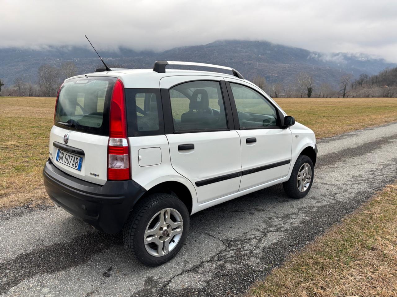Fiat Panda 1.3 MJT 4x4 turbodiesel meccanica perfetta catena distribuzione sostituita da poco