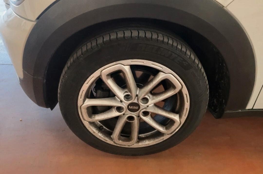 Mini Countryman d