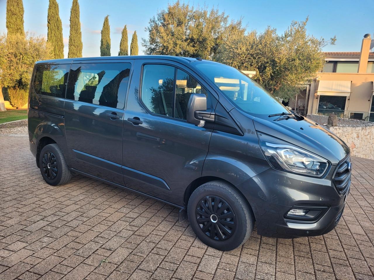 Ford Transit 350 2.0TDCi EcoBlue 130CV PL-TM Combi Trend N1