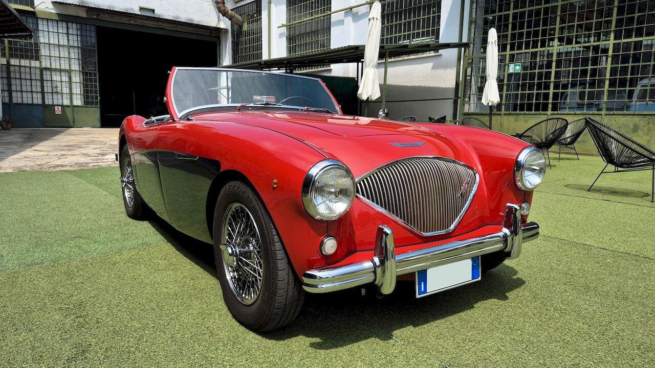 Austin-Healey 100 BN1 – 1954 - SUMMER PRICE