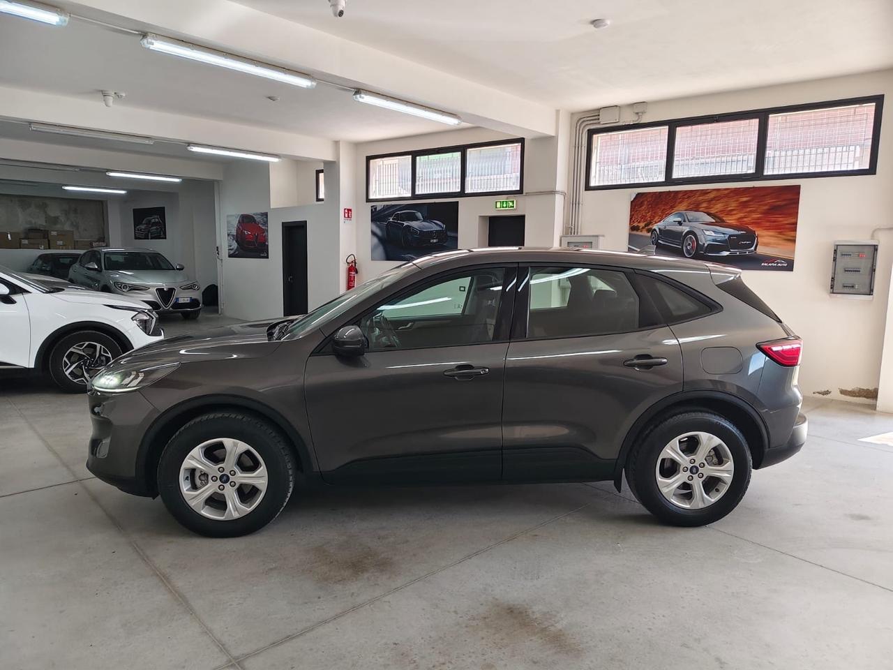 Ford Kuga 2.0 EcoBlue Hybrid 150 CV 2WD Connect