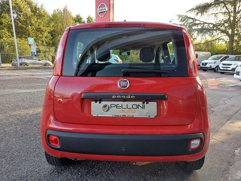 FIAT Panda Panda 1.2 69cv my19 KM CERTIFICATI-GARANZIA