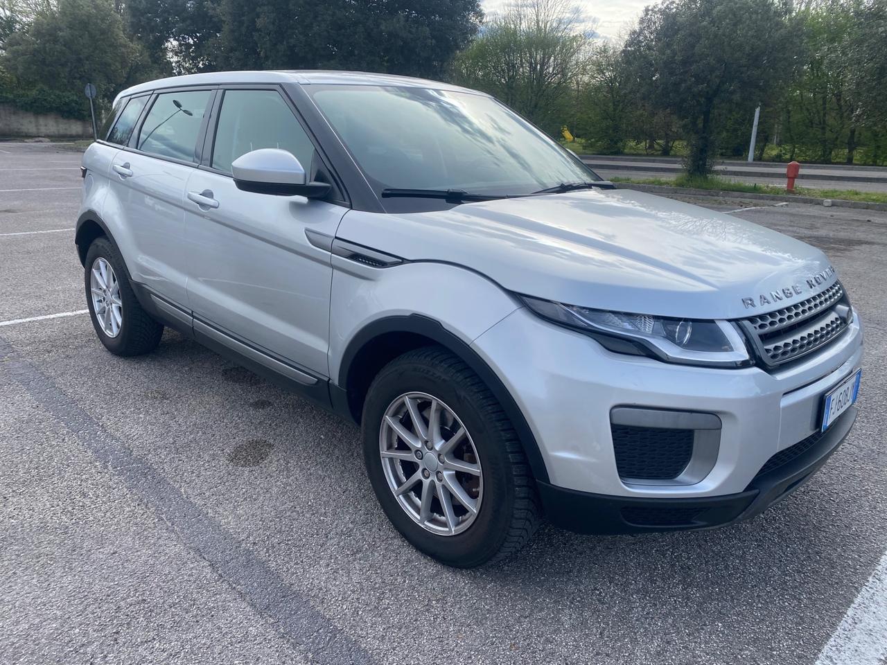 Land Rover Range Evoque 2.0 TD4 150 CV 5p. Business Edition Pure