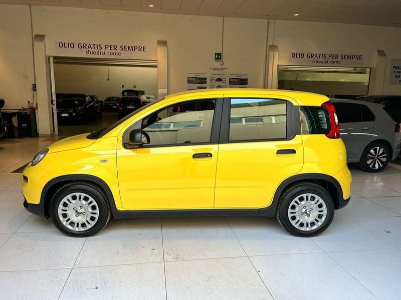 FIAT Panda 1.0 FireFly S&S Hybrid Pandina