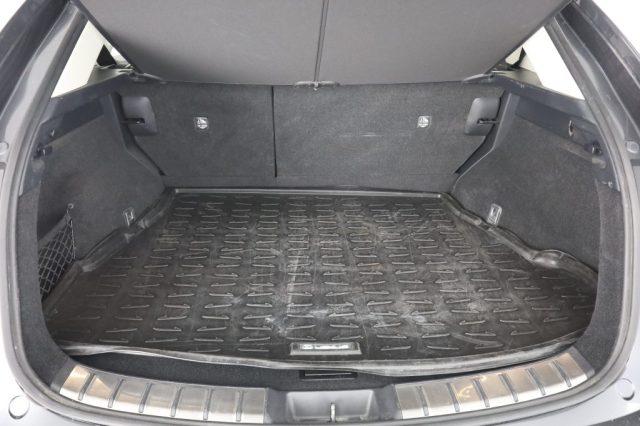 LEXUS Other NX NX Hybrid 4WD Premium +