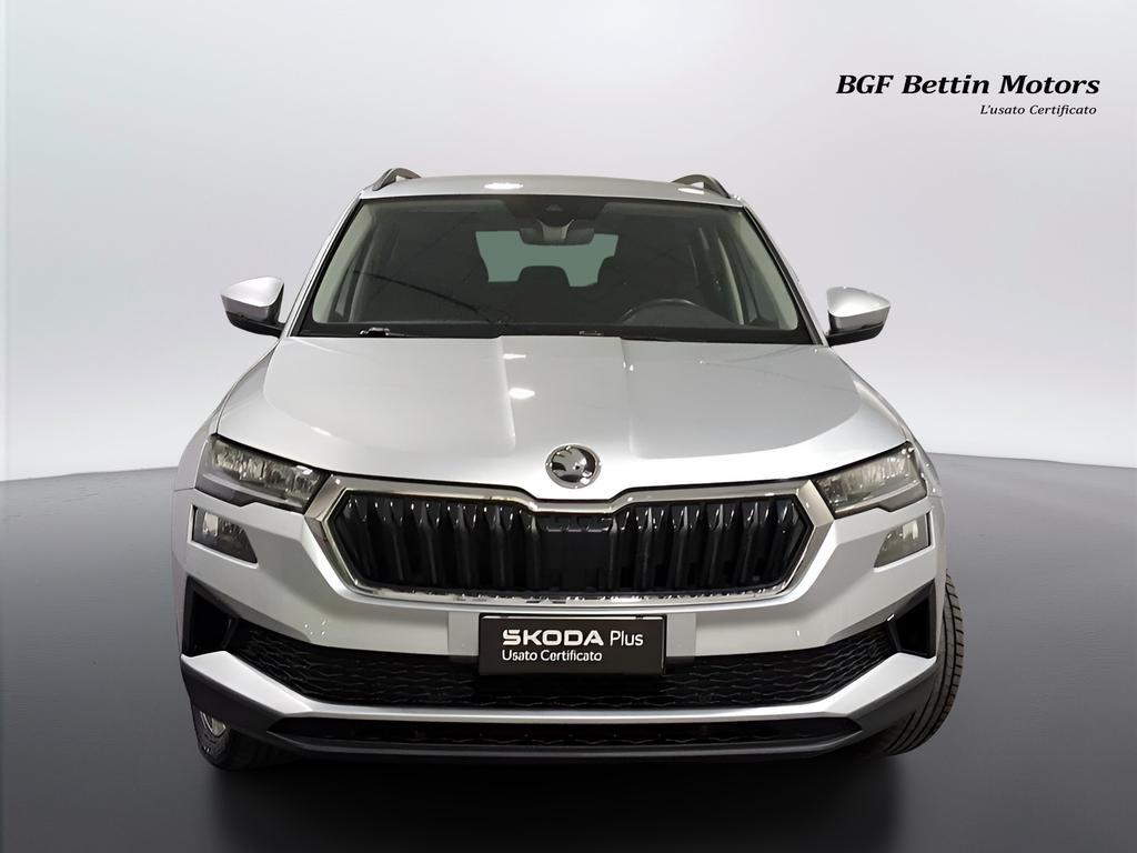 Skoda Karoq 2.0 tdi evo Executive 115cv dsg