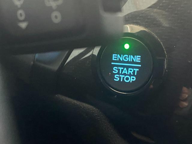 FORD Fiesta 1.5 EcoBlue 5 porte ST-Line