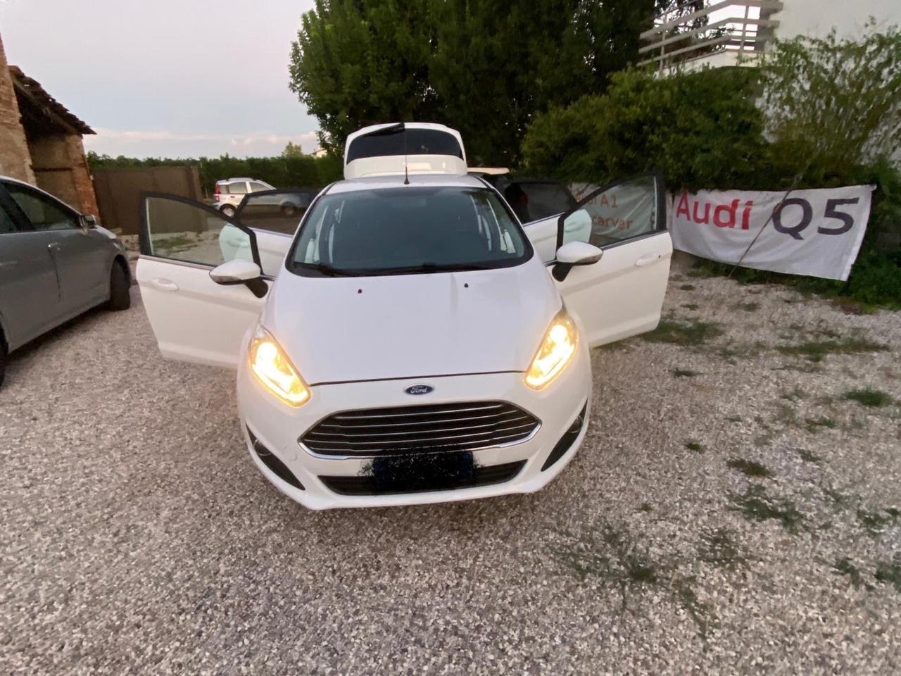 Ford Fiesta 1.4 5 porte Bz.- GPL Black & White Edition