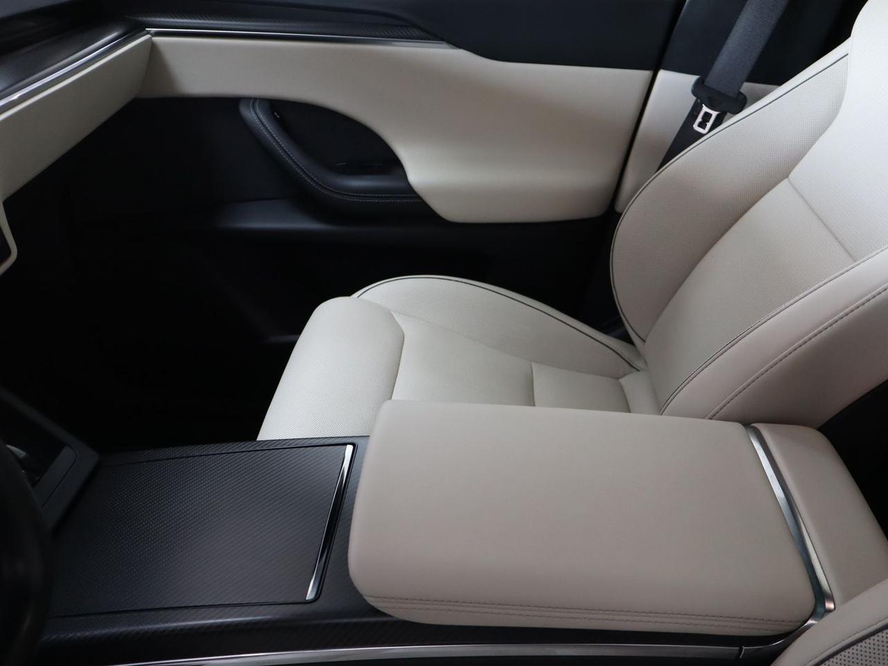 Tesla Model X Plaid #11739