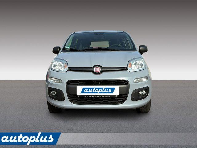 FIAT Panda 1,2 8V Easy