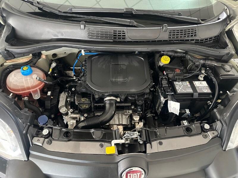 FIAT Panda Cross Panda Cross 1.0 FireFly S&S Hy...
