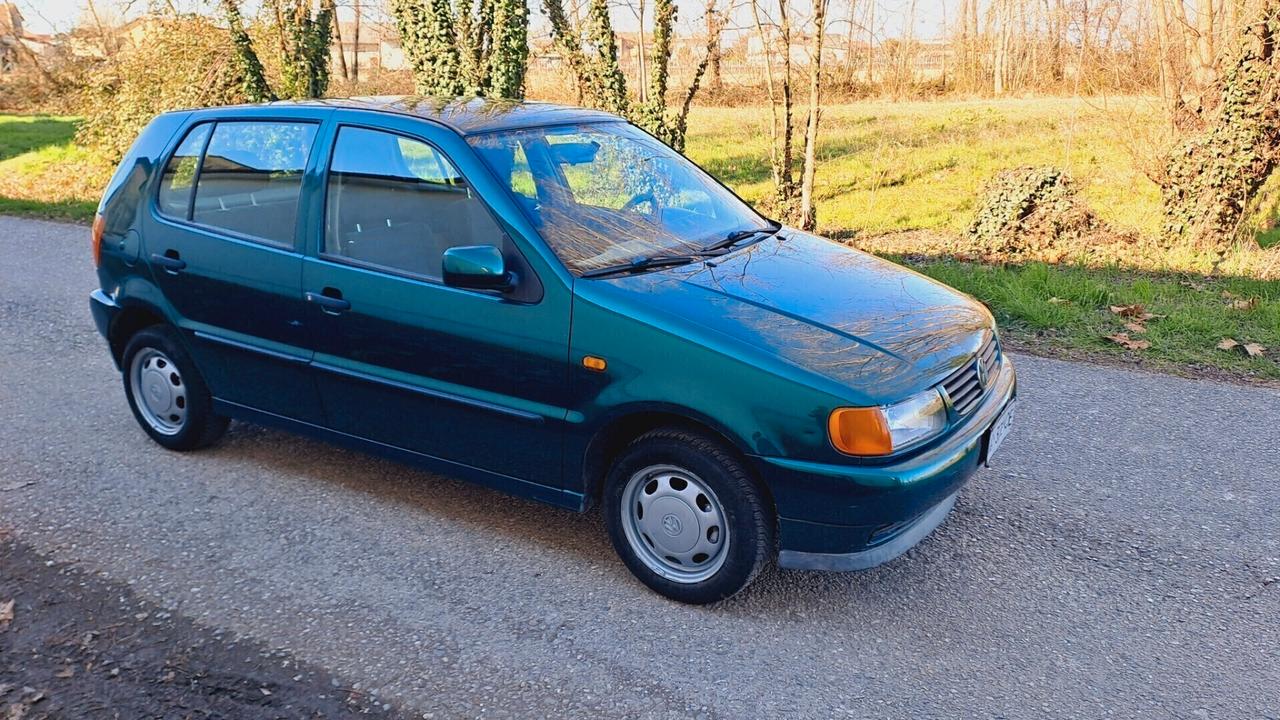 Volkswagen Polo 1.4 cat 5 porte Comfort