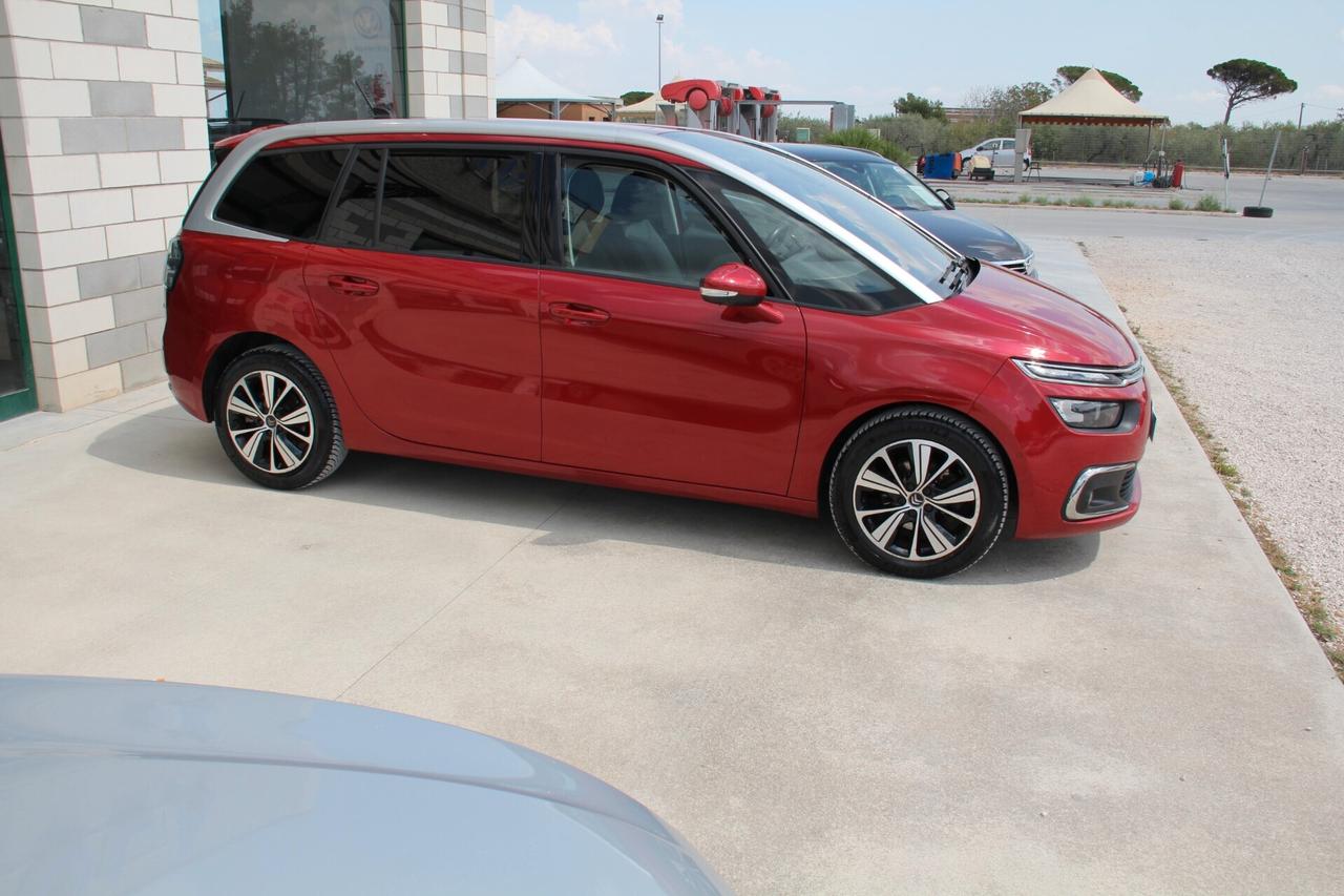 Citroen C4 SpaceTourer BlueHDi 130 S&S EAT8 Business- 7 POSTI