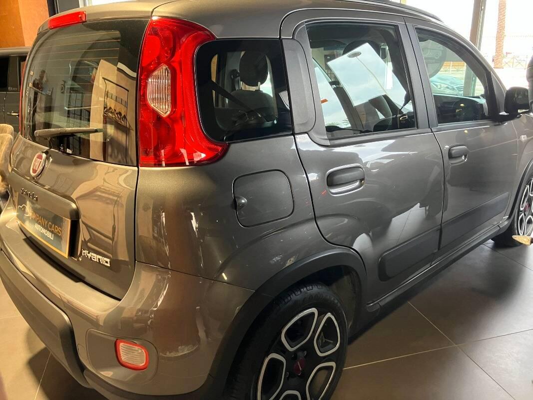 Fiat Panda III 1.0 firefly hybrid City Life s&s 70cv