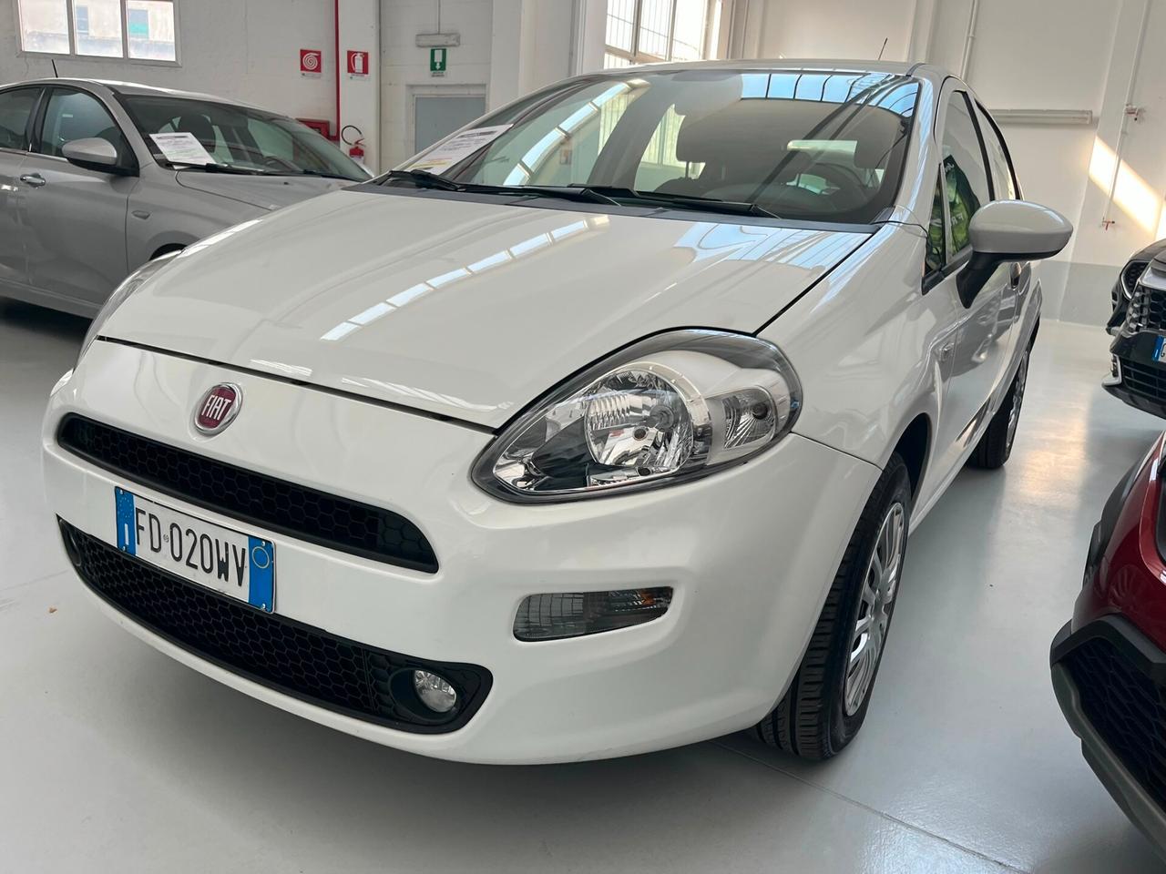 FIAT Punto 4ª serie Punto 1.4 8V 5 porte Easyp...