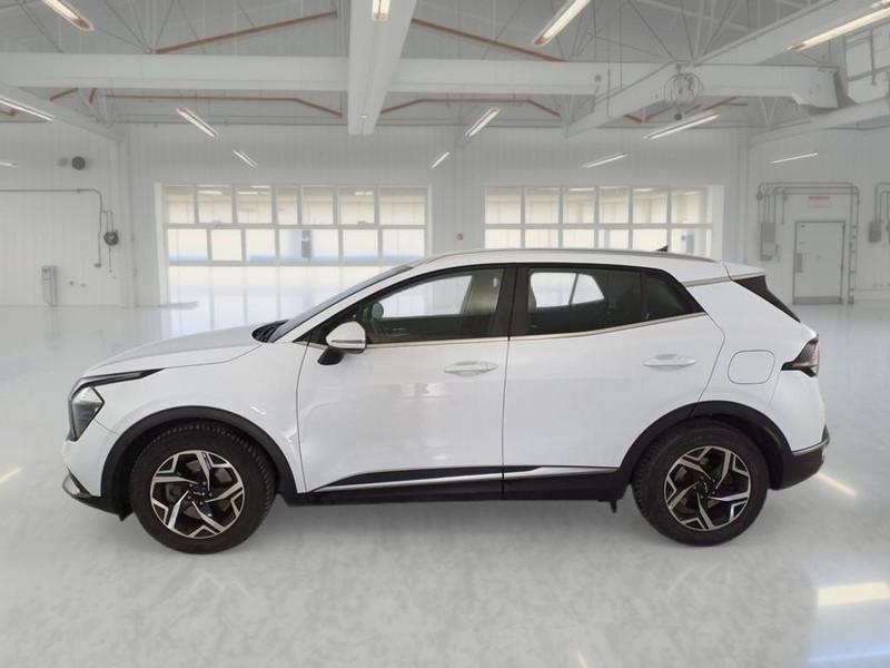 KIA SPORTAGE 1.6 CRDI MHEV BUSINESS 2WD 5 PORTE SUV