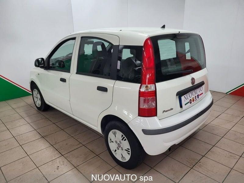 FIAT Panda Panda 1.1 Actual Eco