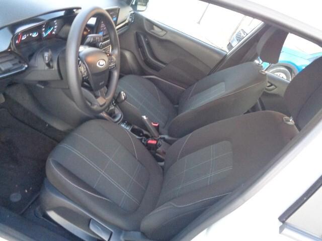 Ford Fiesta 1.5 EcoBlue 5 porte Business