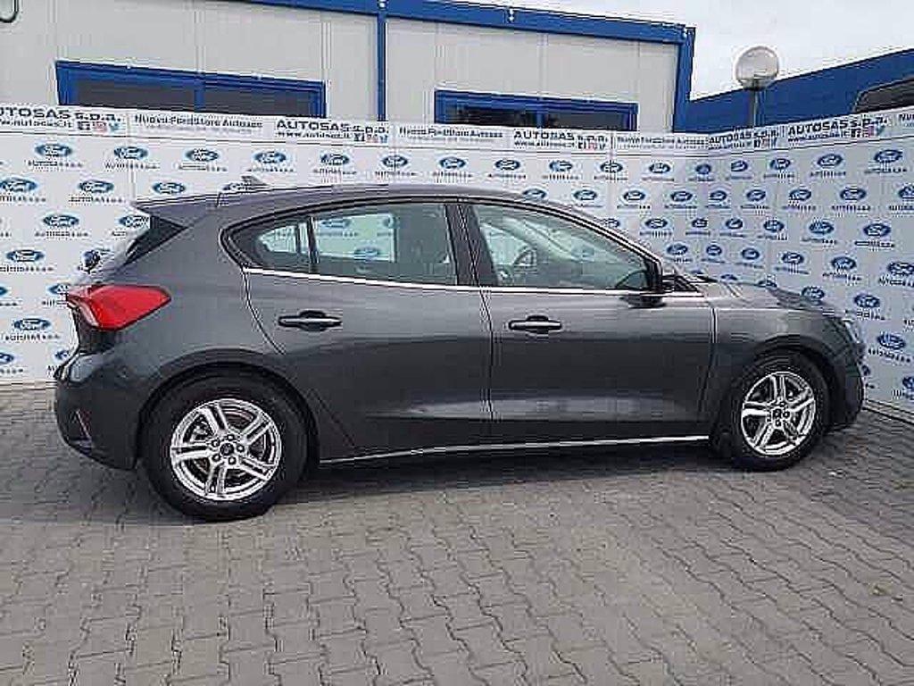 FORD Focus 1.5 EcoBlue 120 CV automatico 5p. Business Co-Pilot del 2020