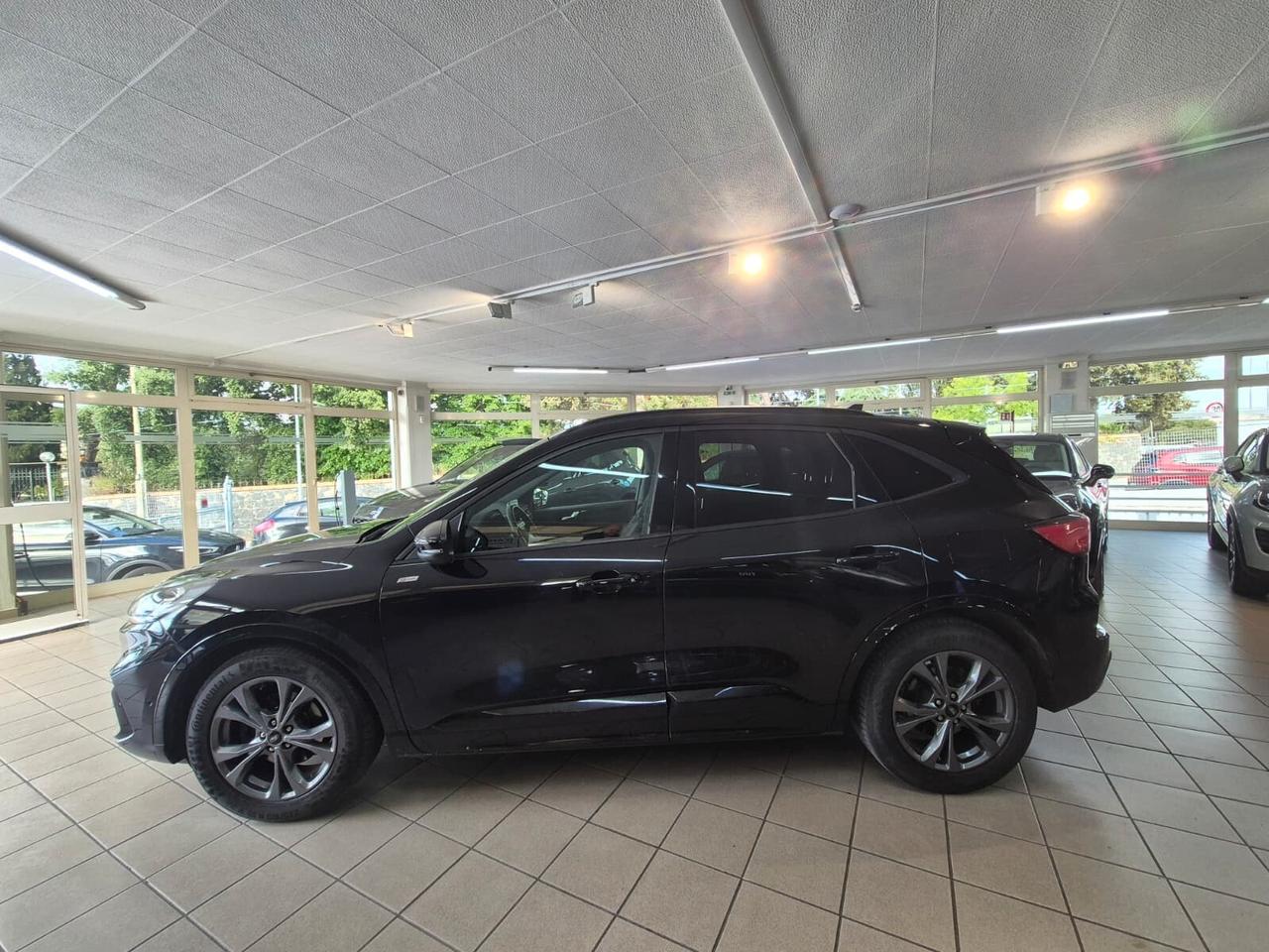 Ford Kuga 2.0 EcoBlue 120 CV aut. 2WD ST-Line X