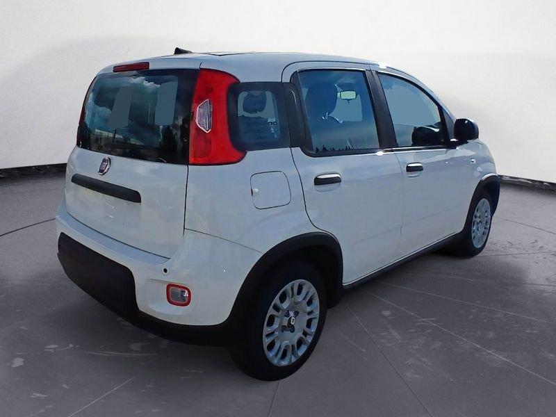 FIAT Panda NEW 1.0 70cv Hybrid Panda