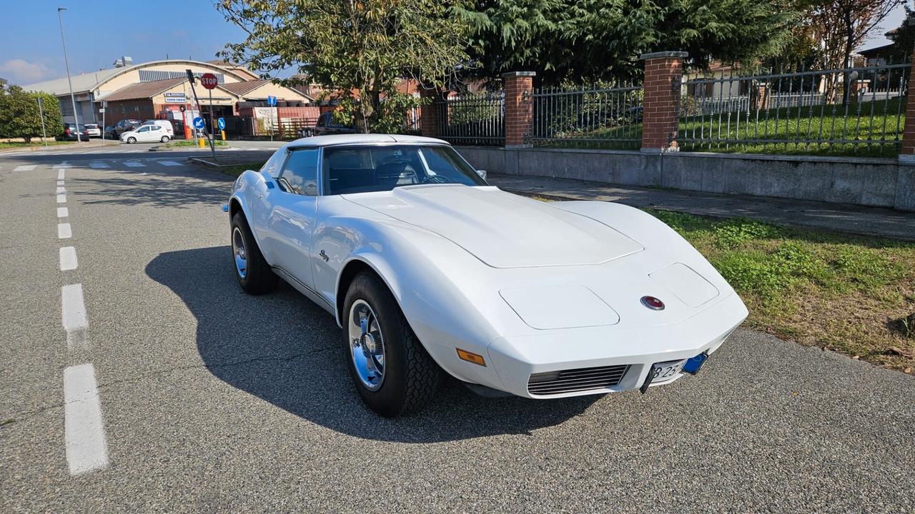 Corvette C3 T-Top