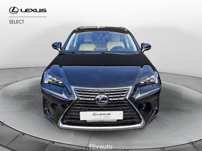 Lexus NX NX Hybrid 4WD Luxury