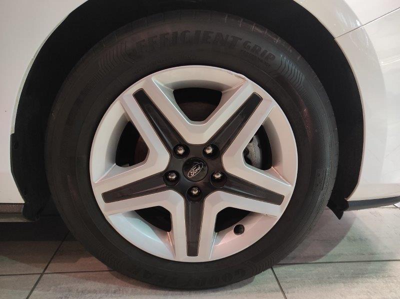 FORD Focus 4ª serie - Focus 1.5 EcoBlue 120 CV SW Business