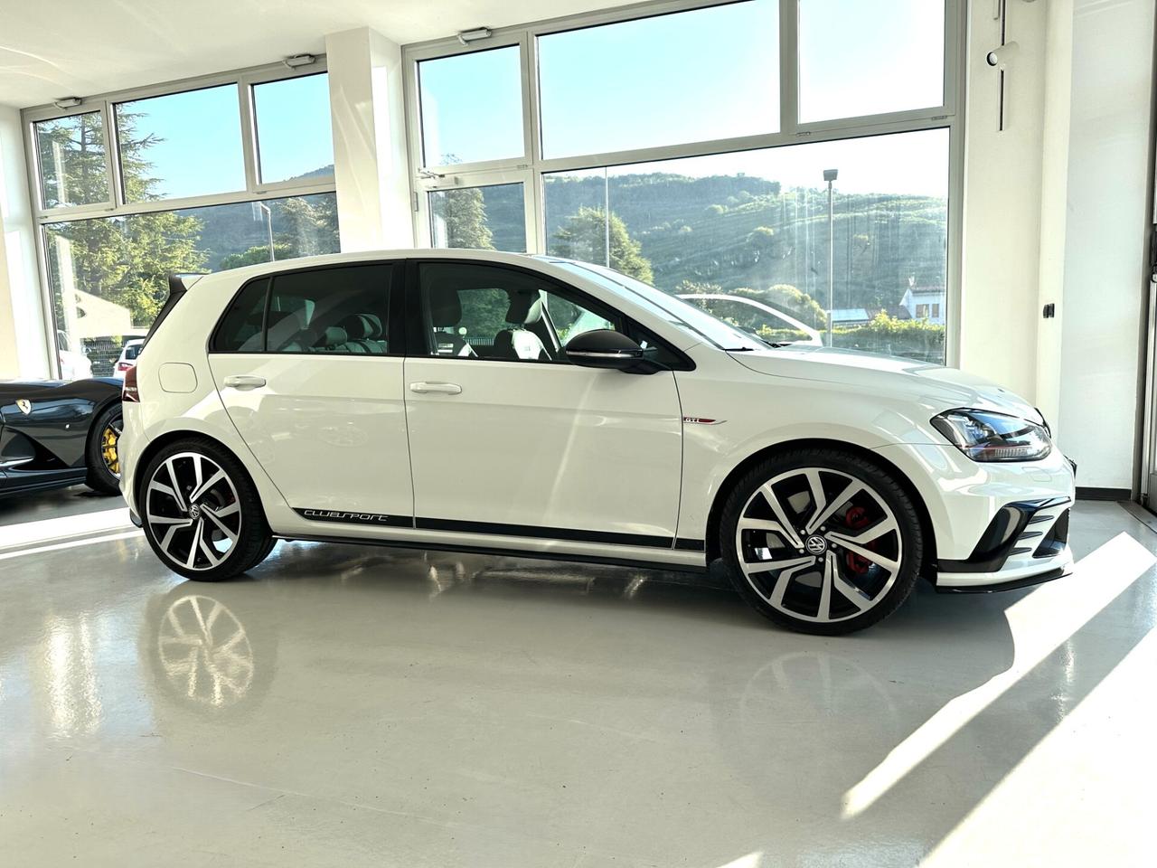 Volkswagen Golf GTI Performance 2.0 TSI 5p. BlueMotion Technology