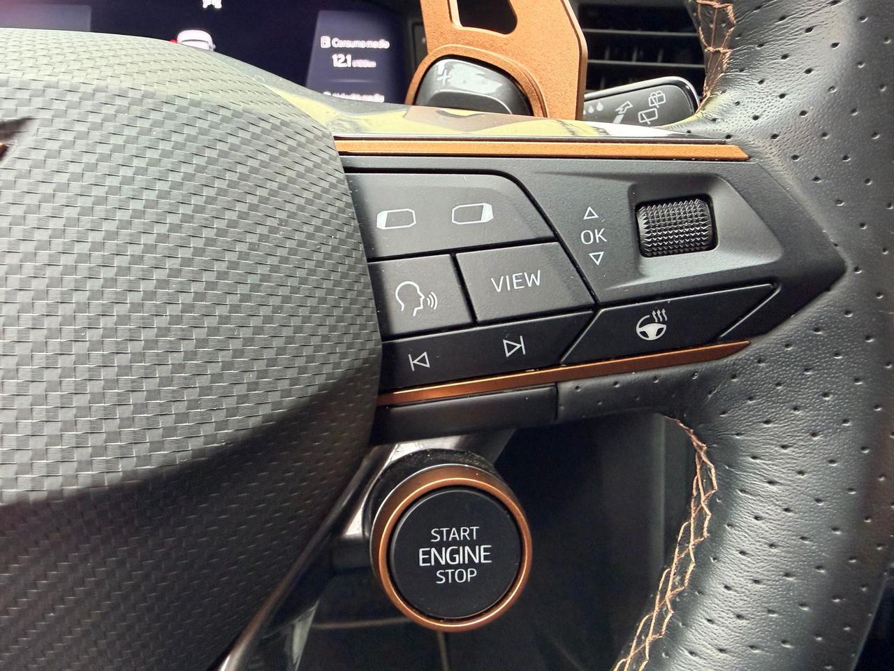 Cupra Ateca Tribe Edition 2.0 TSI VZ #9934