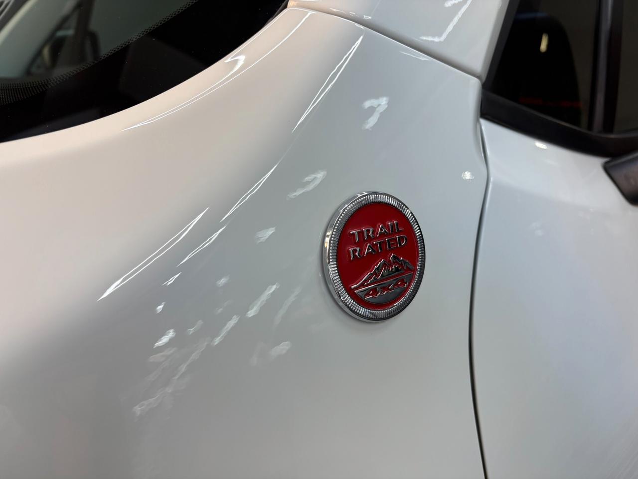 Jeep Renegade 2.0 MJT 170cv 4WD Trailhawk Automatica 4x4 FULL