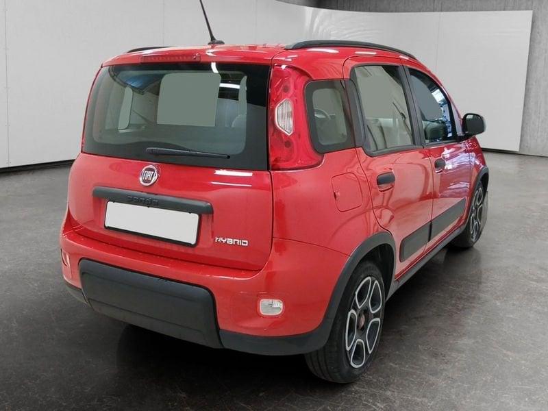 FIAT Panda 1.0 firefly hybrid Sport s&s 70cv