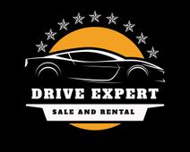 DRIVE EXPERT SOCIETA' A RESPONSABILITA' LIMITATA SEMPLIFICATA