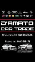 D'AMATO AUTO SOCIETA' A RESPONSABILITA' LIMITATA SEMPLIFICATA