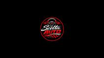 SCELTA AUTO SRL SEMPLIFICATA