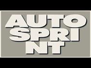 AUTOSPRINT DI BRADOSANI SEDAT