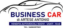 BUSINESS CAR DI ANTONIO ARTESE