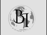 BIGLOBAL S.R.L.S. A SOCIO UNICO