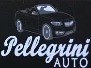 AUTO PELLEGRINI DI DE LEO ALESSANDRO