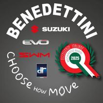 BENEDETTINI AUTO S.R.L.S.