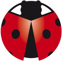 Pollini Lorenzo e figli SRL