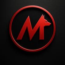 MAXI MOTORS