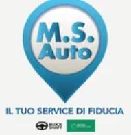 MS Automotive