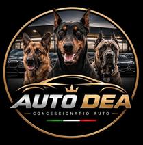 AUTO DEA SOCIETA' A RESPONSABILITA' LIMITATA SEMPLIFICATA